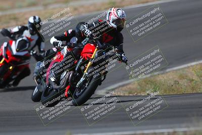 media/May-09-2022-Moto Forza (Mon) [[0226cf3505]]/Group B/B 1020am/